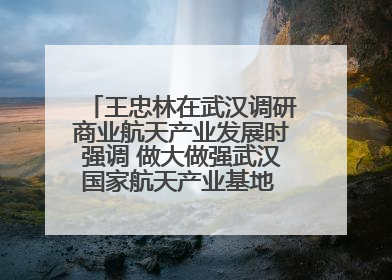 王忠林在武汉调研商业航天产业发展时强调 做大做强武汉国家航天产业基地 打造具有全国影响力的“中国星谷”