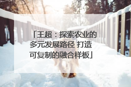 王超：探索农业的多元发展路径 打造可复制的融合样板