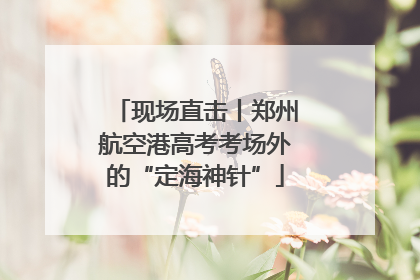现场直击丨郑州航空港高考考场外的“定海神针”