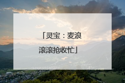 灵宝：麦浪滚滚抢收忙