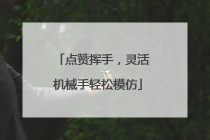 点赞挥手，灵活机械手轻松模仿