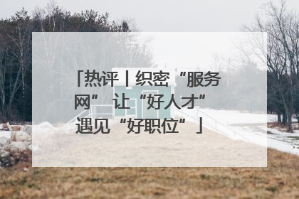 热评丨织密“服务网” 让“好人才”遇见“好职位”
