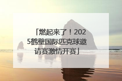 燃起来了！2025鹤壁国际匹克球邀请赛激情开赛