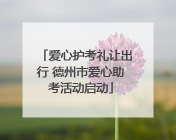 爱心护考礼让出行 德州市爱心助考活动启动