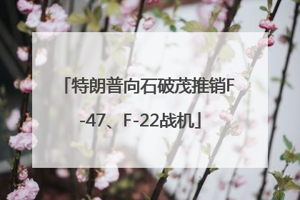 特朗普向石破茂推销F-47、F-22战机