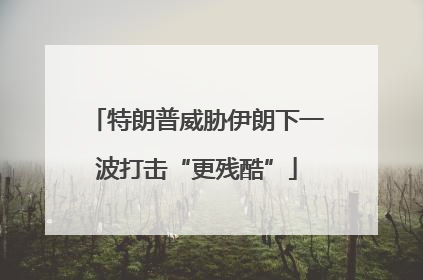 特朗普威胁伊朗下一波打击“更残酷”