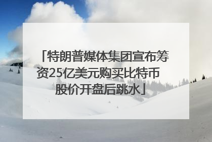 特朗普媒体集团宣布筹资25亿美元购买比特币 股价开盘后跳水