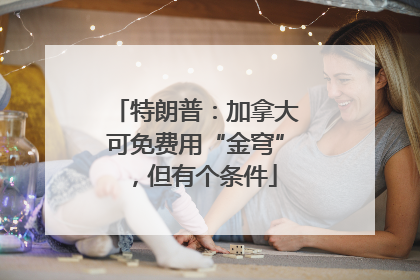特朗普：加拿大可免费用“金穹”，但有个条件