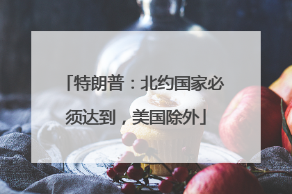 特朗普：北约国家必须达到，美国除外