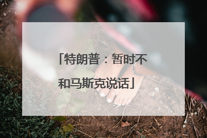特朗普：暂时不和马斯克说话
