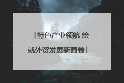 特色产业领航 绘就外贸发展新画卷