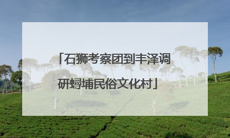 石狮考察团到丰泽调研蟳埔民俗文化村