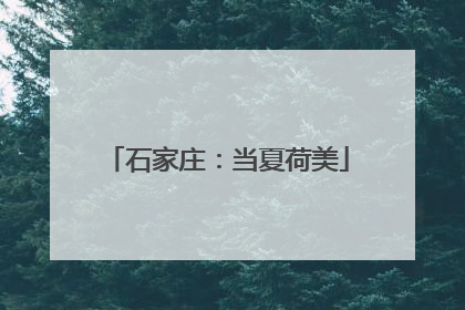 石家庄：当夏荷美