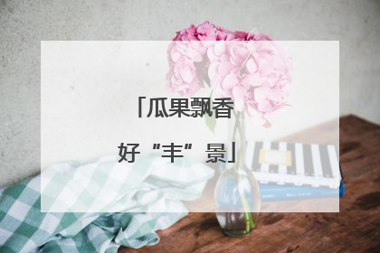 瓜果飘香 好“丰”景