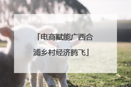 电商赋能广西合浦乡村经济腾飞