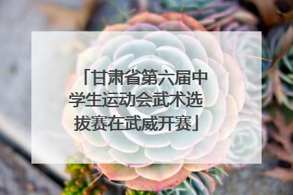甘肃省第六届中学生运动会武术选拔赛在武威开赛