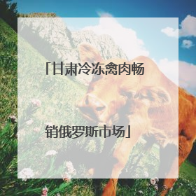 甘肃冷冻禽肉畅销俄罗斯市场