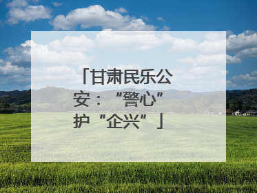 甘肃民乐公安：“警心”护“企兴”