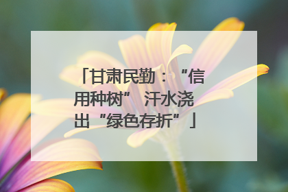 甘肃民勤：“信用种树” 汗水浇出“绿色存折”