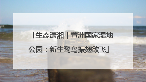 生态潇湘｜萱洲国家湿地公园：新生鹭鸟振翅欲飞