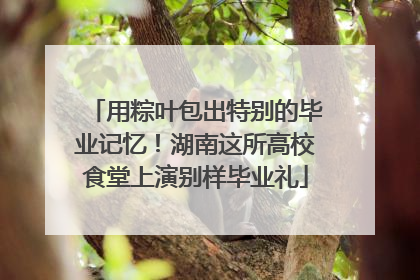 用粽叶包出特别的毕业记忆！湖南这所高校食堂上演别样毕业礼