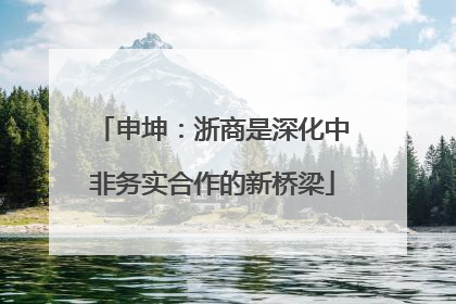 申坤：浙商是深化中非务实合作的新桥梁