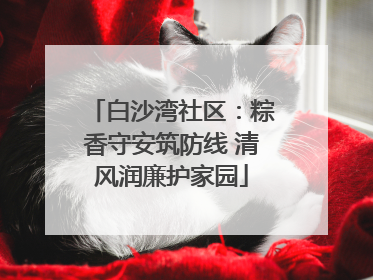 白沙湾社区：粽香守安筑防线 清风润廉护家园