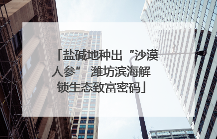 盐碱地种出“沙漠人参” 潍坊滨海解锁生态致富密码