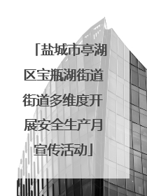 盐城市亭湖区宝瓶湖街道街道多维度开展安全生产月宣传活动