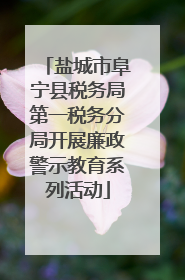 盐城市阜宁县税务局第一税务分局开展廉政警示教育系列活动