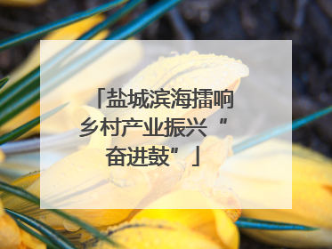 盐城滨海擂响乡村产业振兴“奋进鼓”