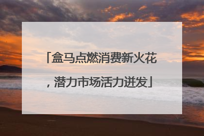 盒马点燃消费新火花，潜力市场活力迸发