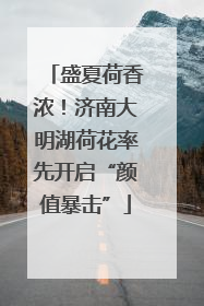 盛夏荷香浓！济南大明湖荷花率先开启“颜值暴击”