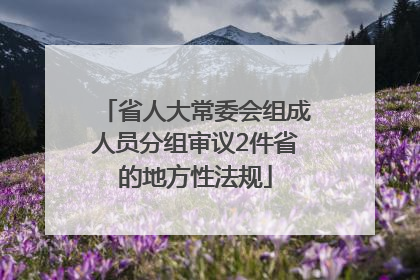 省人大常委会组成人员分组审议2件省的地方性法规