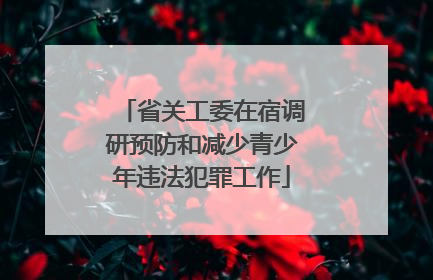 省关工委在宿调研预防和减少青少年违法犯罪工作