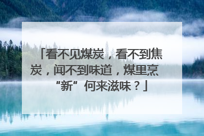看不见煤炭，看不到焦炭，闻不到味道，煤里烹“新”何来滋味？