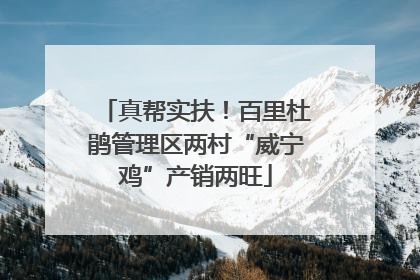 真帮实扶！百里杜鹃管理区两村“威宁鸡”产销两旺
