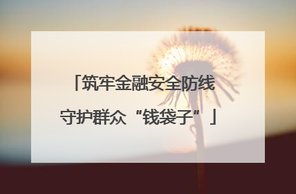 筑牢金融安全防线 守护群众“钱袋子”