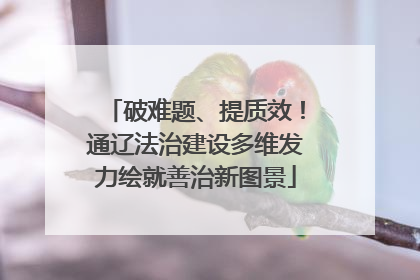 破难题、提质效！通辽法治建设多维发力绘就善治新图景