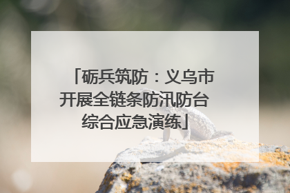砺兵筑防：义乌市开展全链条防汛防台综合应急演练