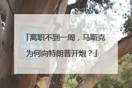 离职不到一周，马斯克为何向特朗普开炮？