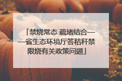 禁烧常态 疏堵结合——省生态环境厅答秸秆禁限烧有关政策问题