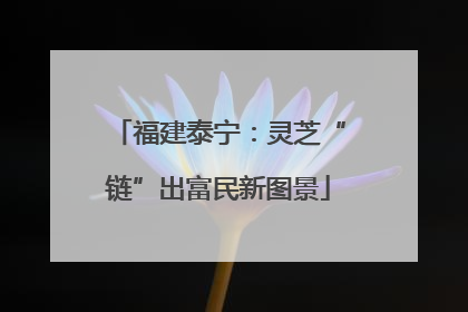 福建泰宁：灵芝“链”出富民新图景
