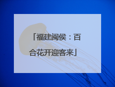 福建闽侯：百合花开迎客来