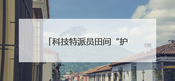 科技特派员田间“护航”中原夏粮丰收