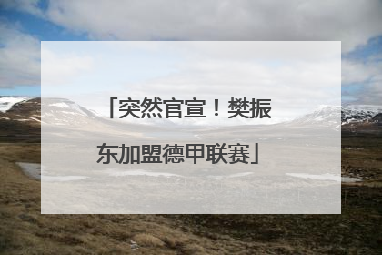 突然官宣！樊振东加盟德甲联赛