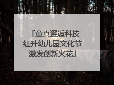 童真邂逅科技 红升幼儿园文化节激发创新火花