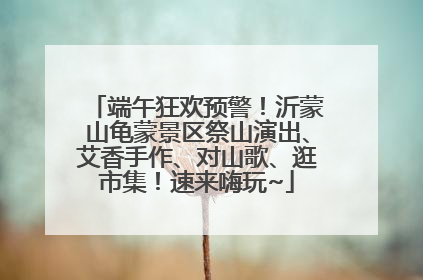端午狂欢预警！沂蒙山龟蒙景区祭山演出、艾香手作、对山歌、逛市集！速来嗨玩~