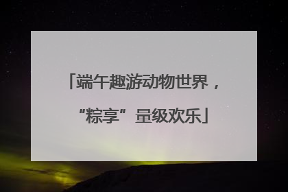 端午趣游动物世界，“粽享”量级欢乐