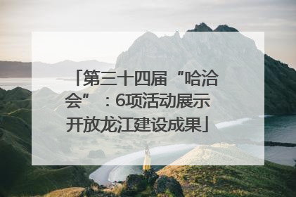 第三十四届“哈洽会”：6项活动展示开放龙江建设成果